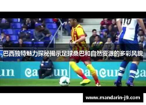 巴西独特魅力探秘揭示足球桑巴和自然资源的多彩风貌