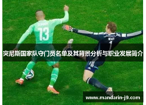 突尼斯国家队守门员名单及其背景分析与职业发展简介