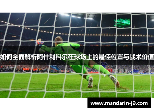 如何全面解析阿什利科尔在球场上的最佳位置与战术价值 如何全面解析阿什利科尔在球场上的最佳位置与战术价值