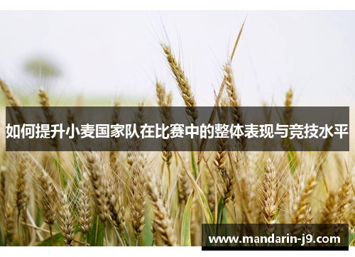 如何提升小麦国家队在比赛中的整体表现与竞技水平
