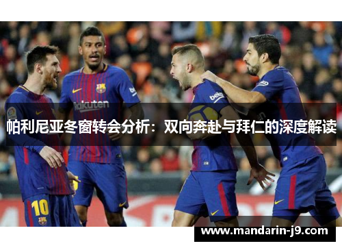 帕利尼亚冬窗转会分析：双向奔赴与拜仁的深度解读