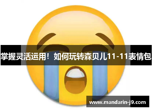 掌握灵活运用！如何玩转森贝儿11-11表情包