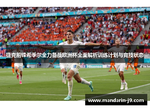 捷克前锋希季尔全力备战欧洲杯全面解析训练计划与竞技状态