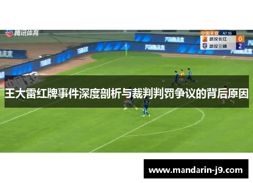 王大雷红牌事件深度剖析与裁判判罚争议的背后原因