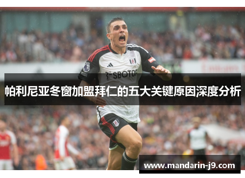 帕利尼亚冬窗加盟拜仁的五大关键原因深度分析 帕利尼亚冬窗加盟拜仁的五大关键原因深度分析