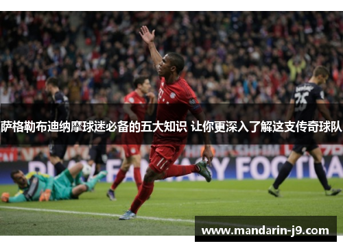 萨格勒布迪纳摩球迷必备的五大知识 让你更深入了解这支传奇球队