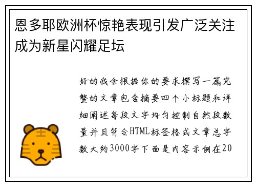 恩多耶欧洲杯惊艳表现引发广泛关注成为新星闪耀足坛
